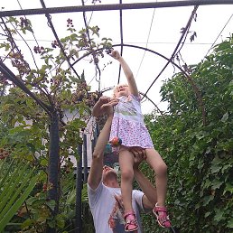 �������, ������, 53 ����