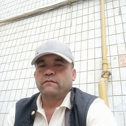 ���������, �����, 37 ���