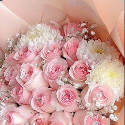 ���� ��������, ����, 18 ��� - ��������� 7 ������ 2026