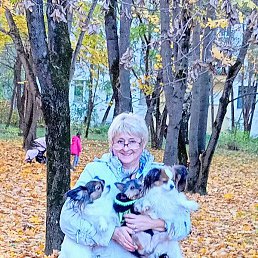 ����, ����, 63 ����