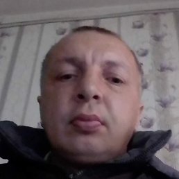 �����, ������, 41 ���