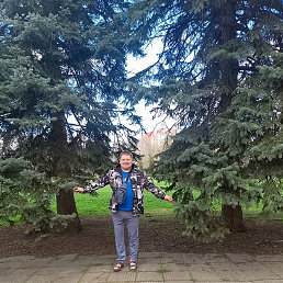 �������, ������, 39 ���