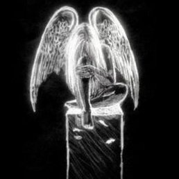 �����, ������, 41 ���