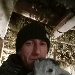  , 42, 