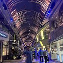 ���� ��������, ������������, 51 ��� - ��������� 7 ���� 2025 � ������ ���� ����������