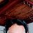 ���� Shatrughan, �������, 38 ��� - ��������� 23 ��� 2026