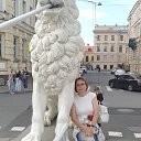 ���� �������, ������������, 66 ��� - ��������� 24 ������� 2026 � ������ ���� ����������