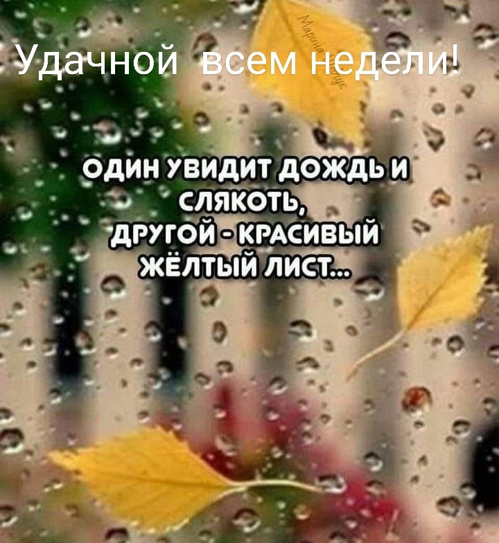 ПРИВЕТСТВИЯ и ПОЖЕЛАНИЯ, открытки на каждый день. - 5 октября 2025 в 23:59