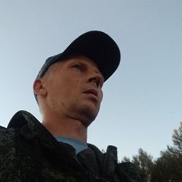 Komar, ������, 41 ���