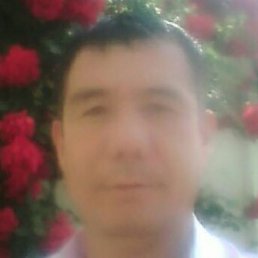 ����, �������, 50 ���