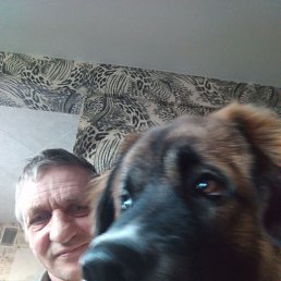 ����, 56 ���, �������