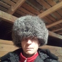 ����, ������, 49 ���