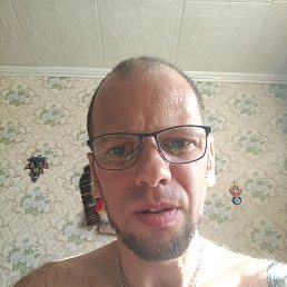 ����, 41 ���, ���������