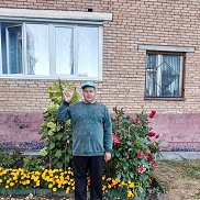 ������, 41 ���, ������