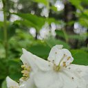 ���� V***, ���������, 58 ��� - ��������� 9 ���� 2024 � ������ �2024�