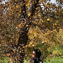 ���� �������, ������������, 41 ��� - ��������� 3 ������� 2023 � ������ ���� ����������