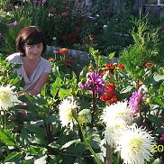 �������, 49 ���, ���������