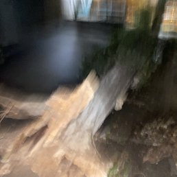 ���� ���������, �����������, 25 ��� - ��������� 14 ��� 2024