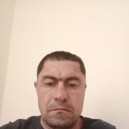 , 42, 