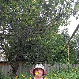 �����, ���������, 55 ���