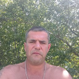 , 42, 
