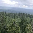 ���� �����, �����, 31 ��� - ��������� 6 ������� 2025 � ������ ���� ����������