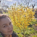 ���� ����, ���������, 48 ��� - ��������� 6 ������ 2026 � ������ ���� ����������