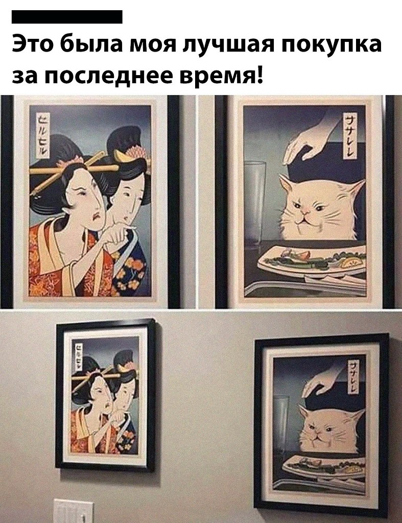 Эти забавные животные - 31 мая 2025 в 12:27