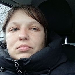 �������, 41 ���, ������