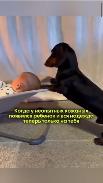 ������������, ��� � ������� ������� ��������������� ���� - 2