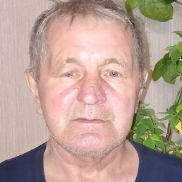 �������, ����, 67 ���