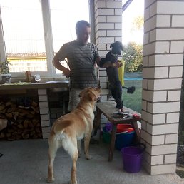 ���� ������, �����, 56 ��� - ��������� 21 ������� 2025