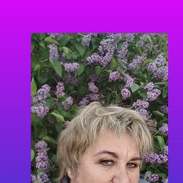 , 54, 