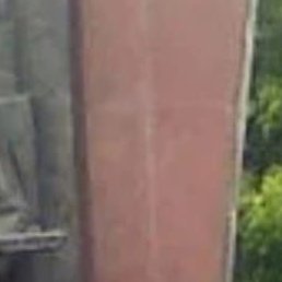 ������, �����, 51 ���