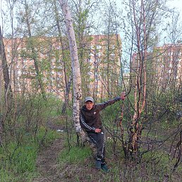 ������ �������, ��������, 38 ���