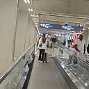 ���� ������, �������� - ��������� 22 ��� 2024 � ������ ���� ����������
