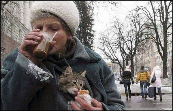 Кошке всё равно, как вы выглядите, как одеты, какой у вас социальный статус. Ей важно, чтобы вы были ... - 4