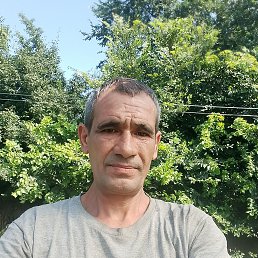 , 49 , 