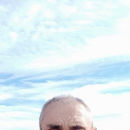 ���� ������, ����-���������, 46 ��� - ��������� 16 ����� 2026