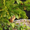  Sergey, , 56  -  13  2025