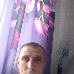, 41, 