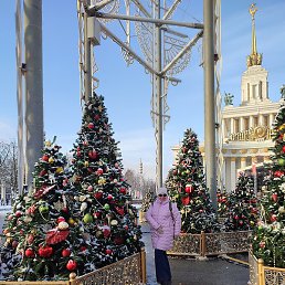 ������, ������������