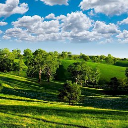 �������, ��������, 61 ���