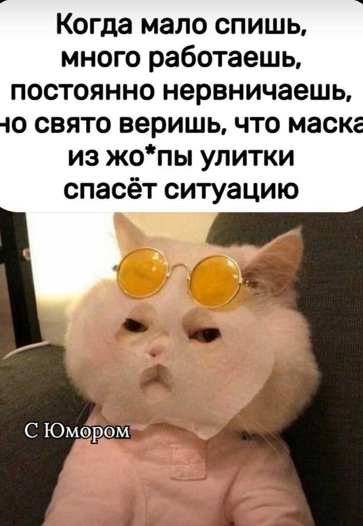 Рецепты - 23 октября 2025 в 14:25