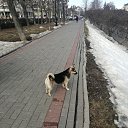 ���� �����, ��������, 53 ���� - ��������� 24 ������ 2026 � ������ ���� ����������