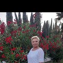 ���� �������, ������, 52 ���� - ��������� 10 ������ 2026