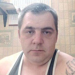 �����, ���������, 41 ���