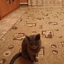 ���� ������� ����������, ������ ��������, 47 ��� - ��������� 6 ������ 2023 � ������ ���� ����������