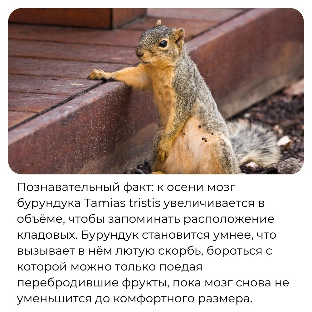 Discovery - 7 ���� 2025 � 21:42