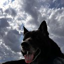 ���� �������, �����-��������� - ��������� 12 ������ 2025 � ������ ������ ��������